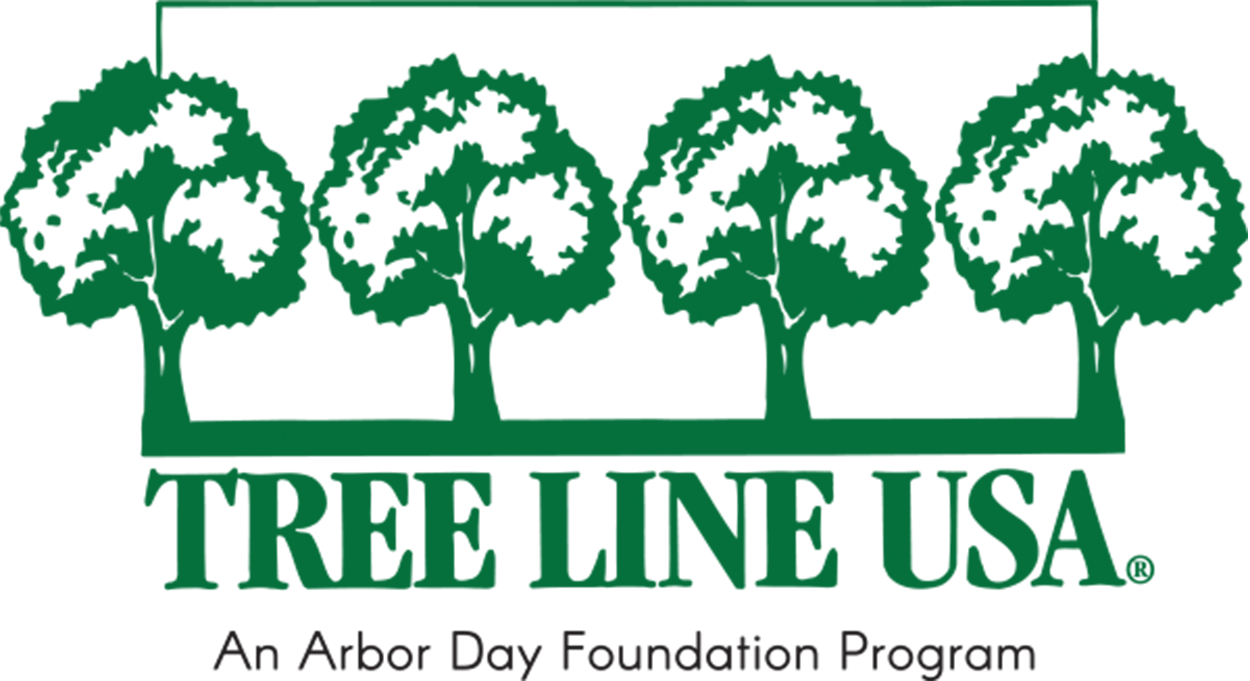 logo-tree-line-usa-color CMYK.png