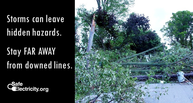 Downed trees and power lines