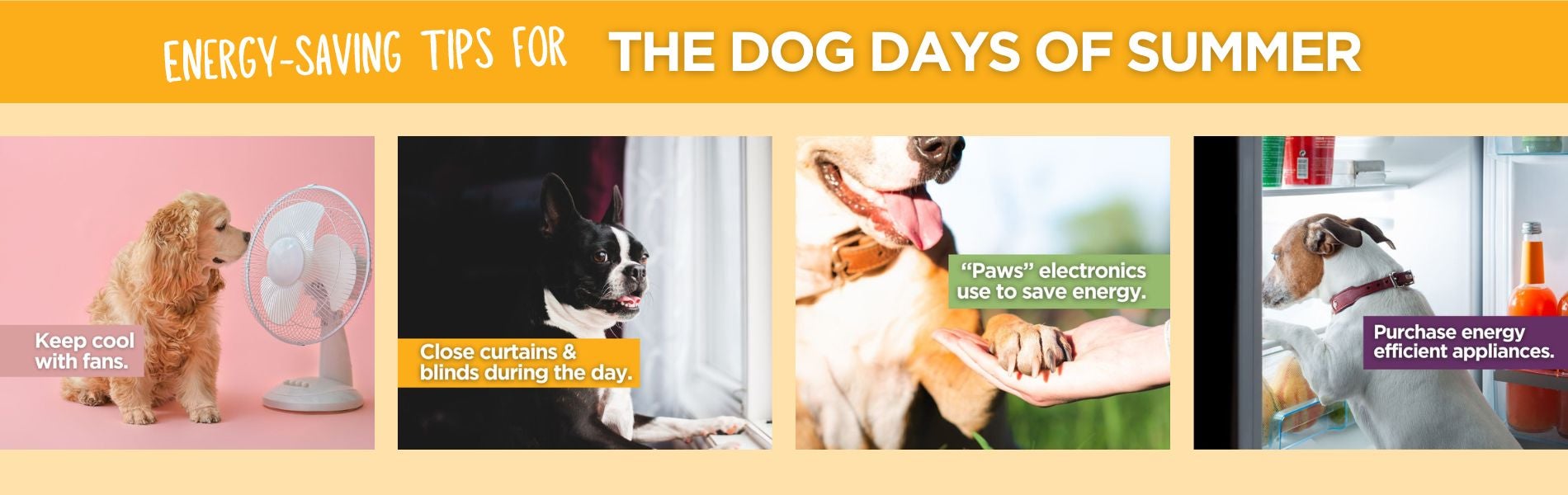 Energy-saving tips: keep cool with fans, close curtains during day, "paws" electronics use; purchase energy-efficient appliances