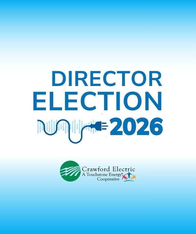 2026 Director Election