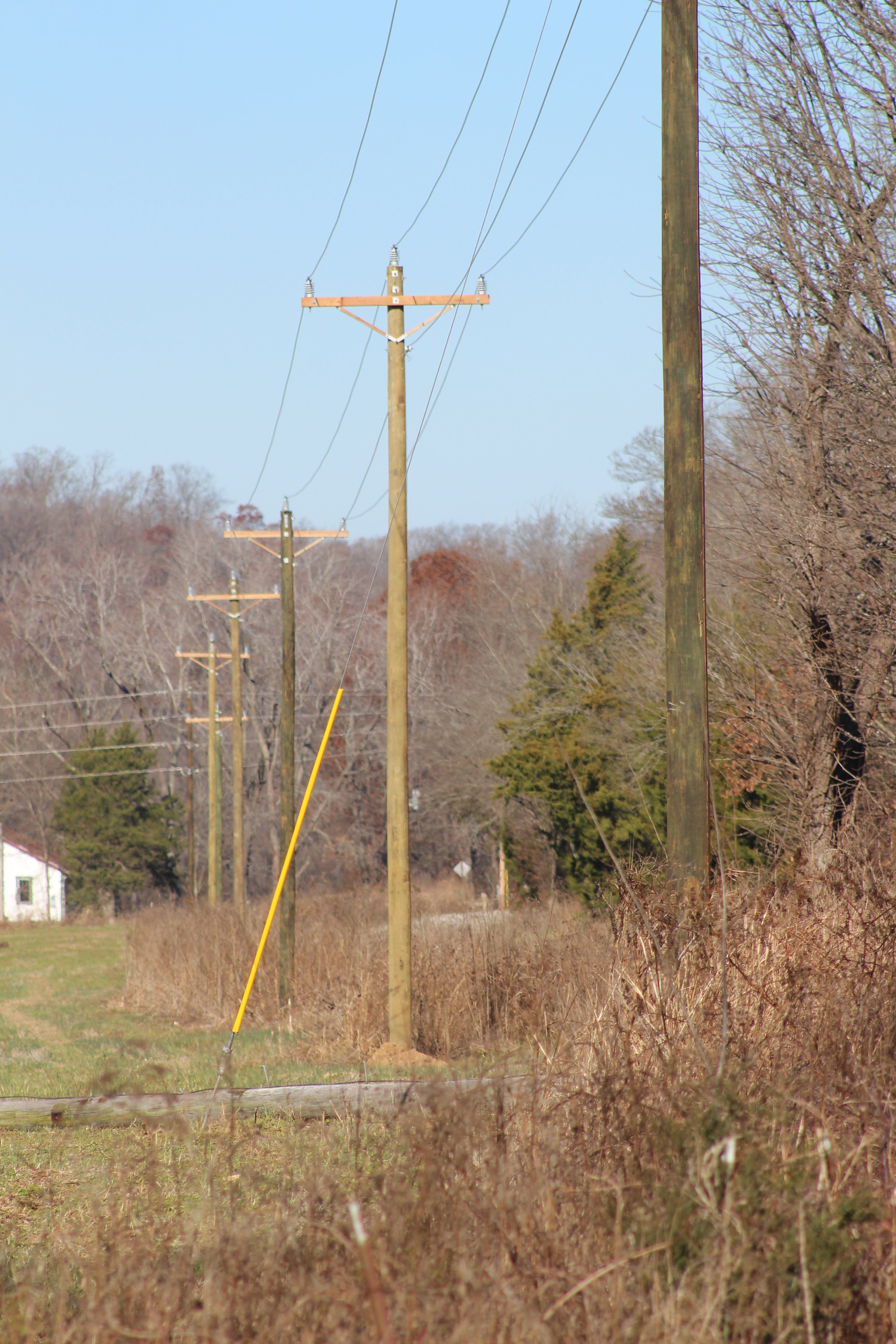 Power poles and lines